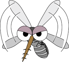 mosquito1.png